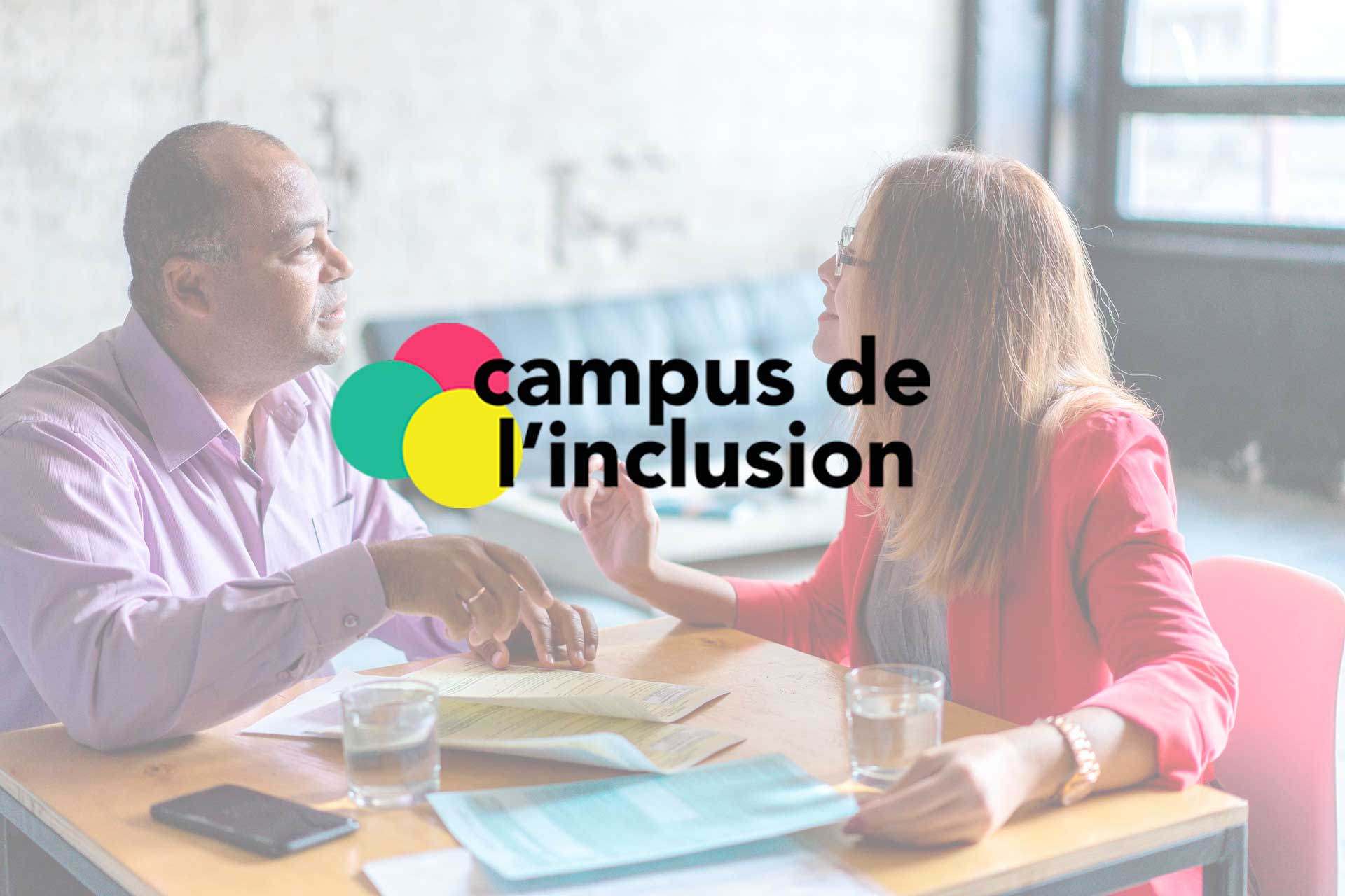 Webinaire D information Sur Le Campus De L inclusion ALonsZI Webinaire D information Sur Le Campus De L inclusion ALonsZI