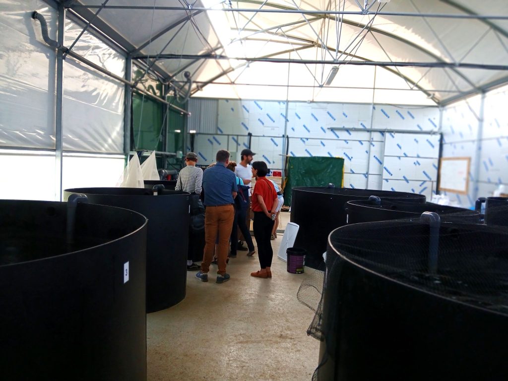 LA VISITE ALONS'ZI DE JUIN : à LA FERME PAÏDEIA