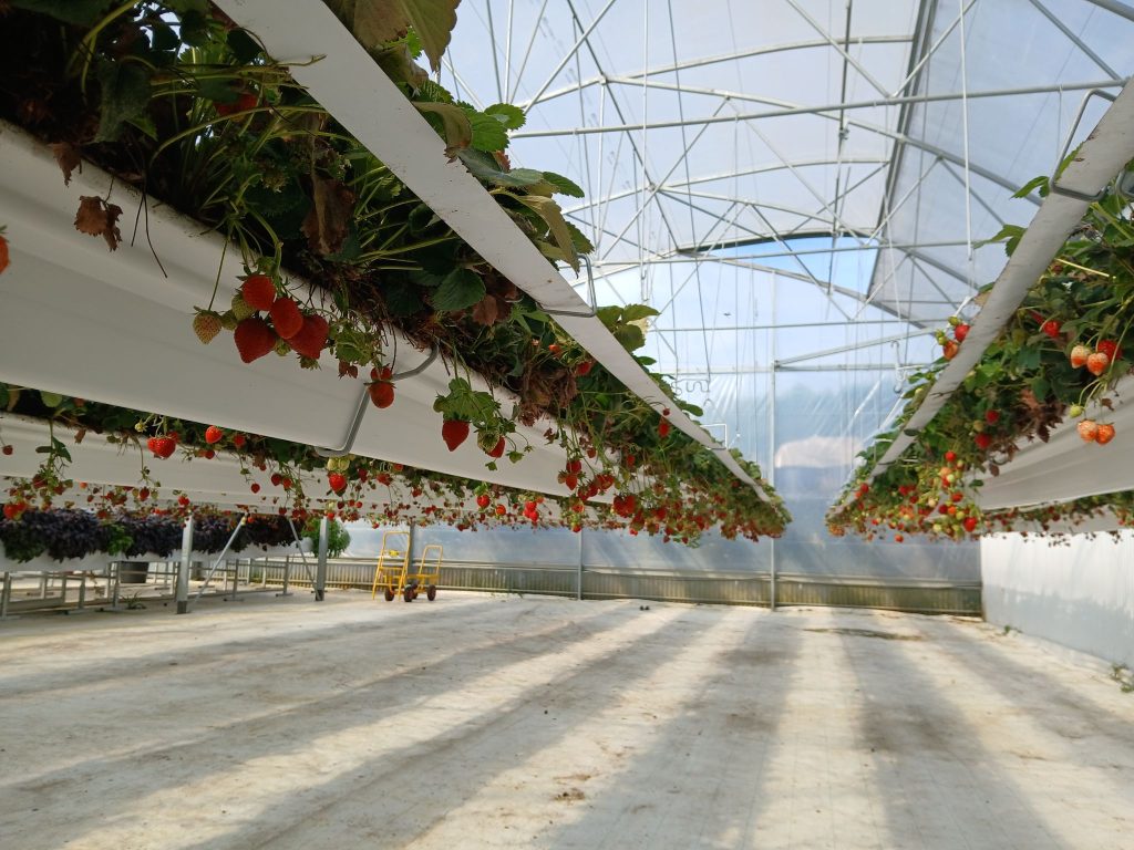 LA VISITE ALONS'ZI DE JUIN : à LA FERME PAÏDEIA