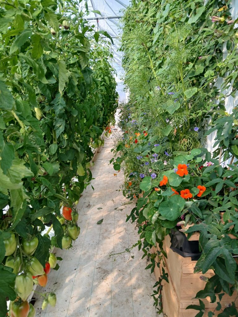 LA VISITE ALONS'ZI DE JUIN : à LA FERME PAÏDEIA